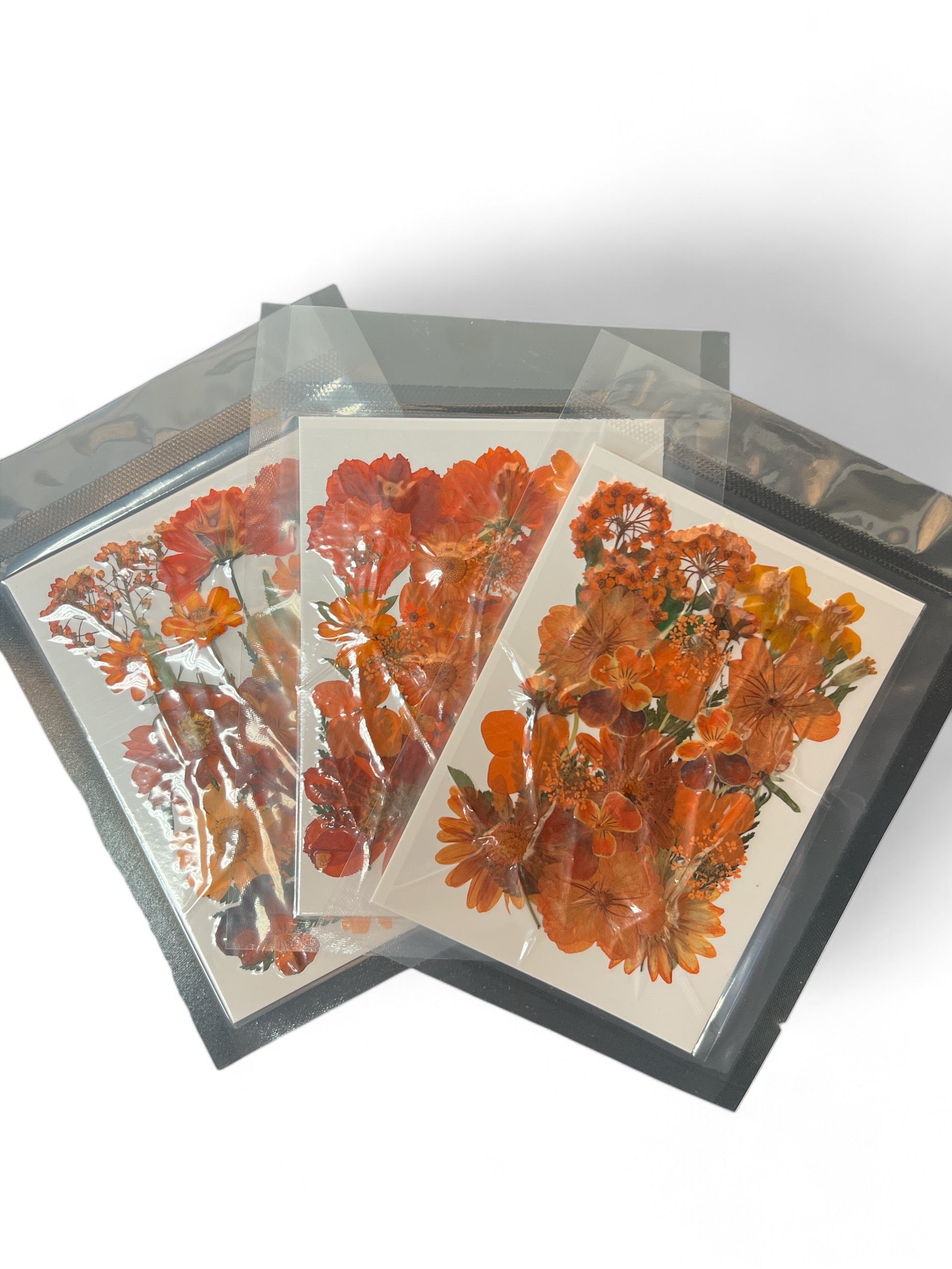 Pack of Dried Flowers | Orange (Set of 3)