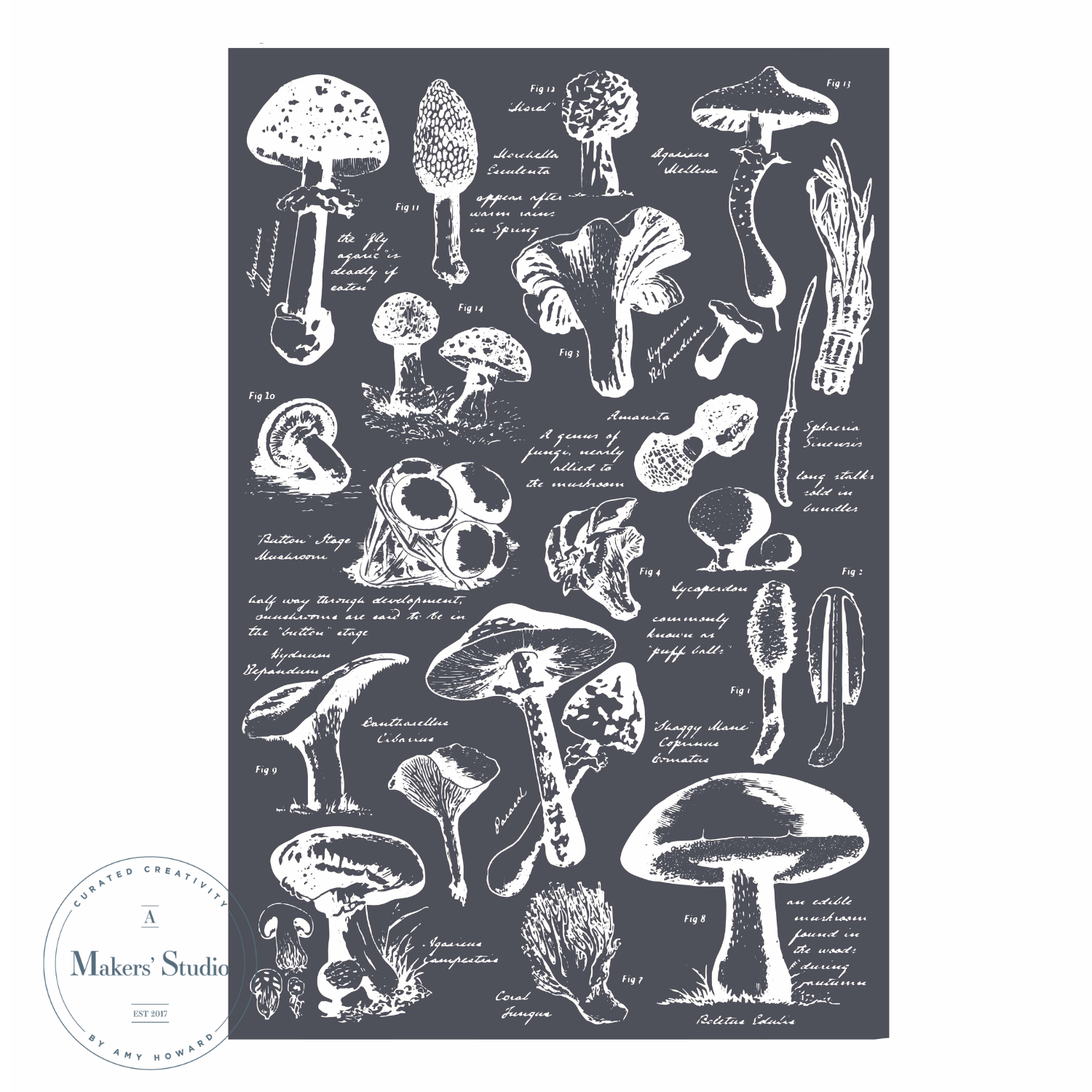 Mushroom Chart - Mesh Stencil 12x18