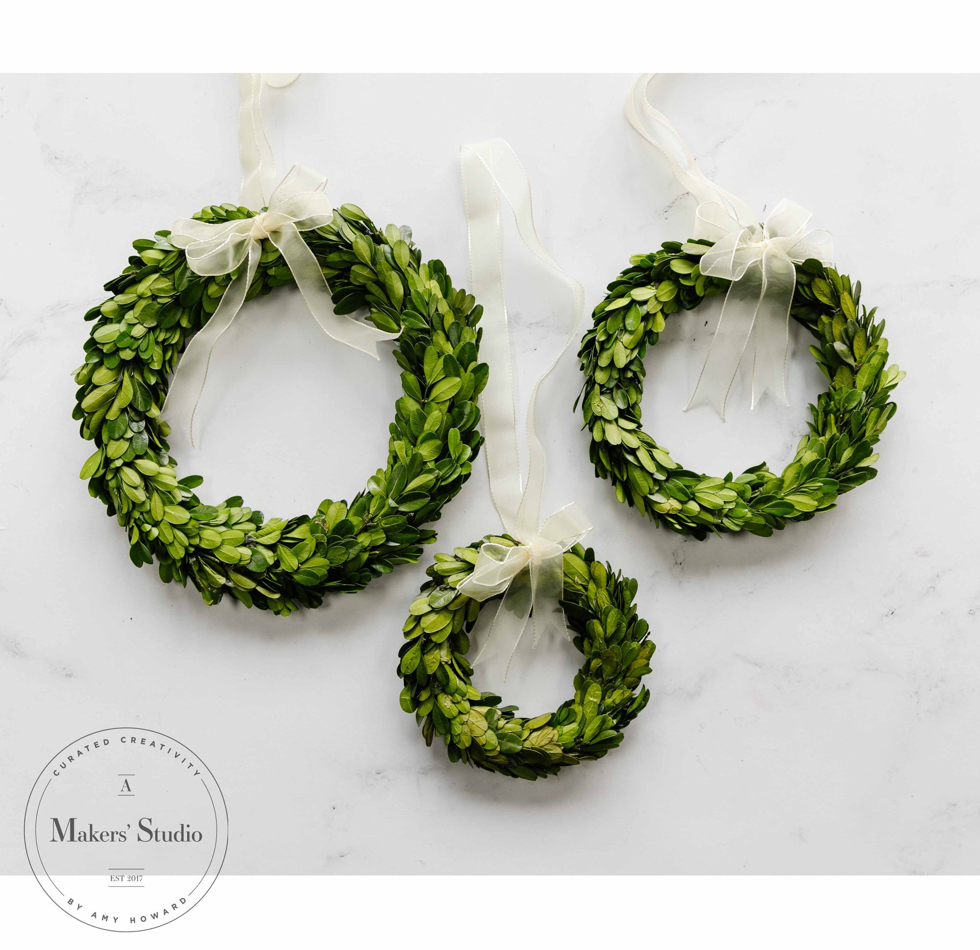 Preserved Boxwood Wreaths - Bundle